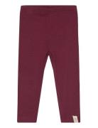 Legging Modal Petit Piao Burgundy