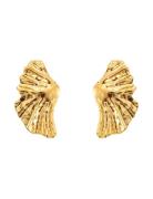 Feather Earring By Jolima Gold