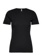 Top Merino Wool Ss Lindex Black