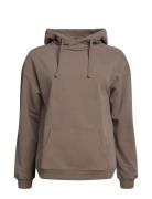 Ibbi Easy Sweatshirt Hoodie Brushed Rethinkit Brown