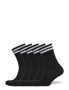 5-Pk Tennis Socks With Stripes ZEBDIA Black