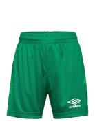 Liga Shorts Jr Umbro Green