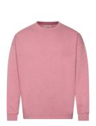 Essential 3 Crosses Program Sweatshirt Scotch & Soda Pink