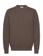 Cfsebastian 0096 Crew Neck Swe Casual Friday Brown