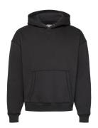 Hco. Guys Sweatshirts Hollister Black