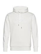 Reg Tonal Shield Hoodie GANT White