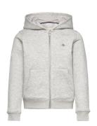 Shield Zip Hoodie GANT Grey