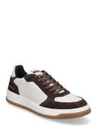 Ace Sneaker Steve Madden Brown