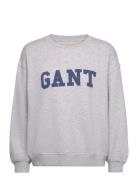 Graphic C-Neck Sweat GANT Grey