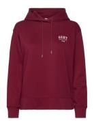 Small Graphic Hoodie GANT Red