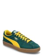 Delphin PUMA Green