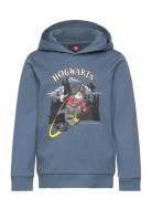 Lwscout 706 - Sweatshirt LEGO Kidswear Blue