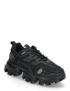 Prize Sneaker Steve Madden Black