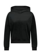 Hoody Ls Velours Hunkemöller Black