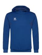 Hmlauthentic Pl Hoodie Hummel Blue