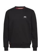 Basic Sweater Small Logo Alpha Industries Black