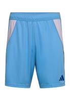 Tiro24 Sho Adidas Performance Blue