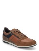 U Renan B GEOX Brown