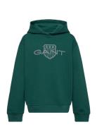 Relaxed Contrast Shield Hoodie GANT Green