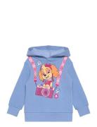 Sweats Paw Patrol Blue