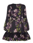 Jasmine Ruffled Mini Dress Malina Black