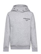 Borg Essential 1 Hoodie Björn Borg Grey