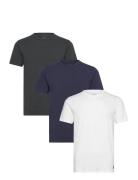 Basic 3 Pack T-Shirt Lyle & Scott White