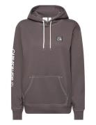 The Original Hood Quiksilver Brown