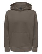 Onsdan Life Rlx Heavy Sweat Hoodie Noos ONLY & SONS Grey