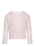 100% Cotton Striped T-Shirt Mango Pink