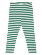 Tnstfro Uni Rib Leggings The New Green