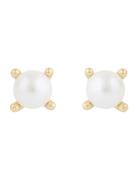 Lucy Pearl Ear G/White SNÖ Of Sweden Gold