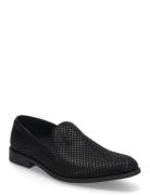 Berton Loafers Steve Madden Black