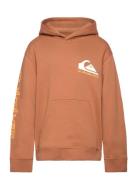 Omni Logo Hoodie Youth Quiksilver Brown