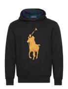 The Rl Fleece Big Pony Hoodie Polo Ralph Lauren Black