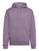 Hco. Guys Sweatshirts Hollister Purple