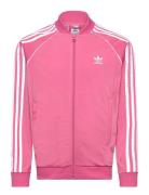 Sst Track Top Adidas Originals Pink