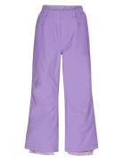 Paxton Molo Purple