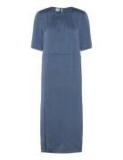 Achira Baum Und Pferdgarten Blue