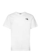 M Ss Box Nse Celebration Tee The North Face White