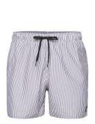 Stripy Clx Swim Short Short Length Adidas Sportswear Navy