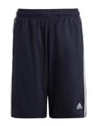 U 3S Wn Short Adidas Sportswear Navy