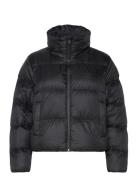 Regen Cropped Down Puffer Adidas Originals Black