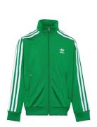 Firebird Top Adidas Originals Green