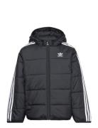 Padded Jacket Adidas Originals Black