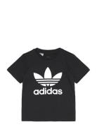 Trefoil Tee Adidas Originals Black