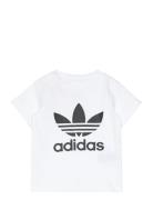 Trefoil Tee Adidas Originals White