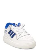 Forum Low Cl El I Adidas Originals White