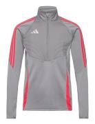 Tiro24 Wintop Adidas Performance Grey