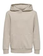 Osjceres Hoodie Swt Noos ONLY & SONS Cream